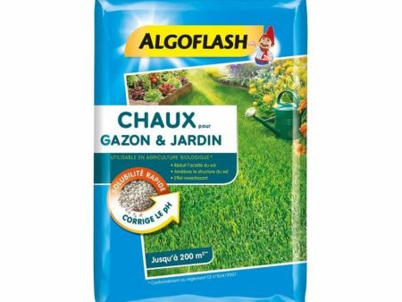 Seeds Algoflash Achau10 Grass 10 kg Online Sale