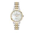 Ladies  Watch Lucien Rochat R0453115507 (Ø 30 mm) Supply