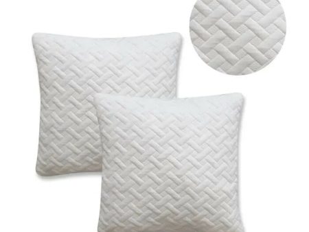 Set of 2 Pillows TODAY (2 Units) Online Sale