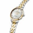 Ladies  Watch Lucien Rochat R0453115507 (Ø 30 mm) Supply