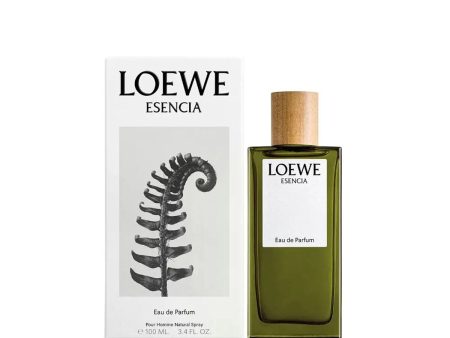 Men s Perfume Loewe Esencia EDP 150 ml Online