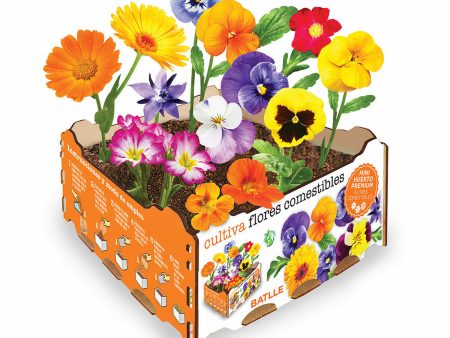 Cultivation Set Batlle Flowers Edible 19 x 19 x 10 cm For Discount